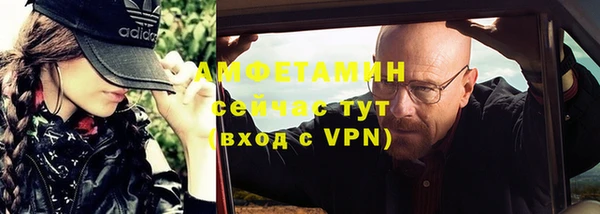 МДПВ Бородино