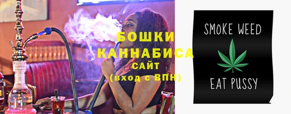МДПВ Бородино