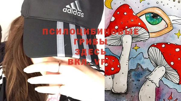 МДПВ Бородино