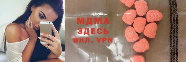 МДПВ Бородино