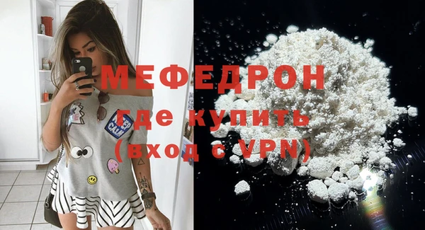 МДПВ Бородино