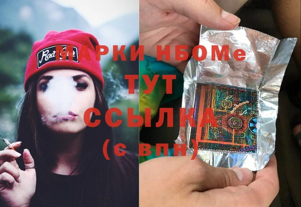 МДПВ Бородино