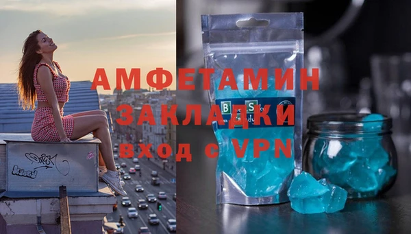 МДПВ Бородино