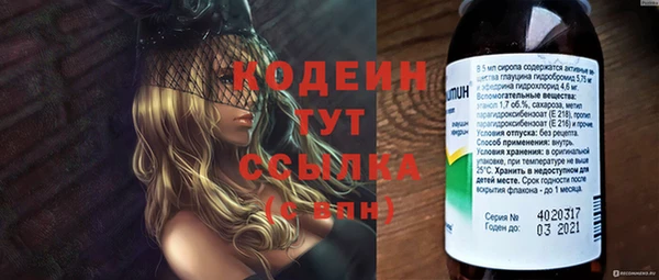 МДПВ Бородино