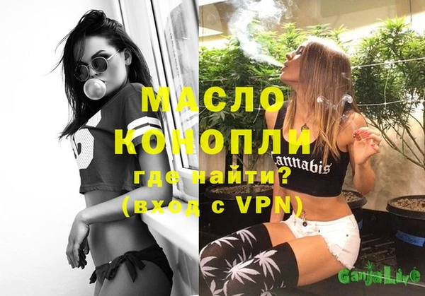 МДПВ Бородино