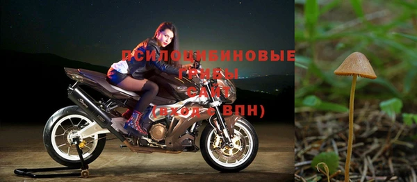 альфа пвп Бугульма